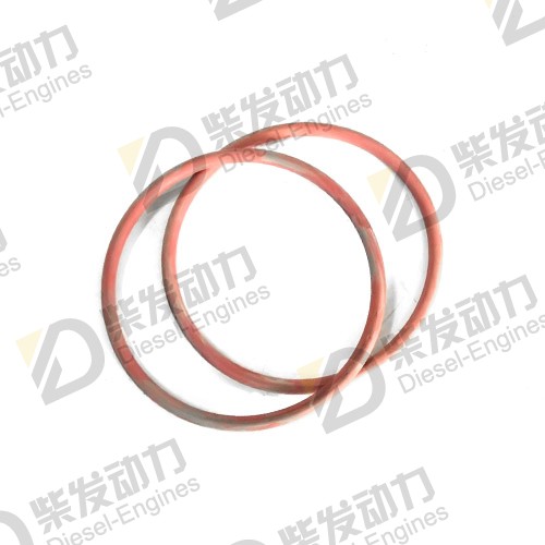 O-ring 3812484